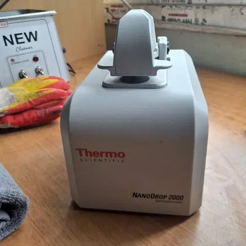 Thermo scientific NANODROP 2000 가격조정